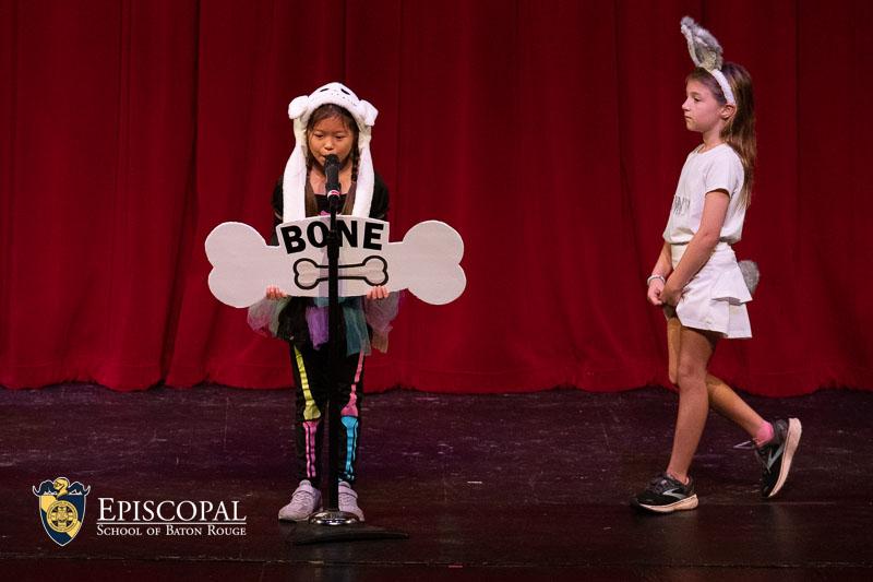 Vocabulary Parade 1277